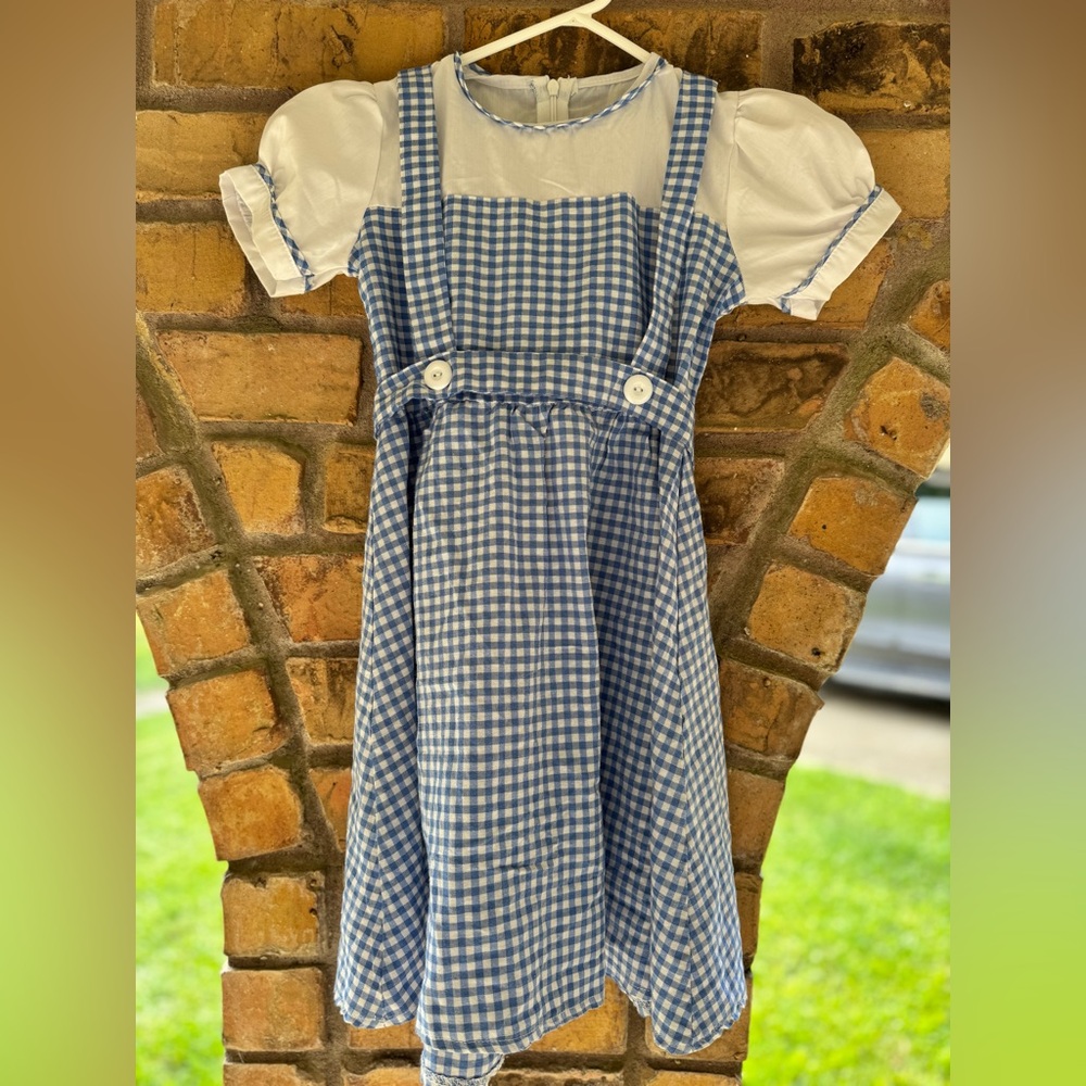 Dorothy Wizard of Oz Halloween or Dress Up Costume 4/6x